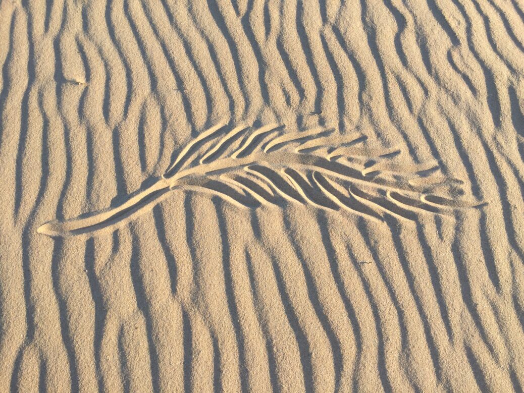 Feder in Sand gezeichnet